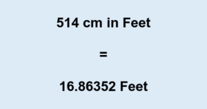 how many feet is 514 centimeters