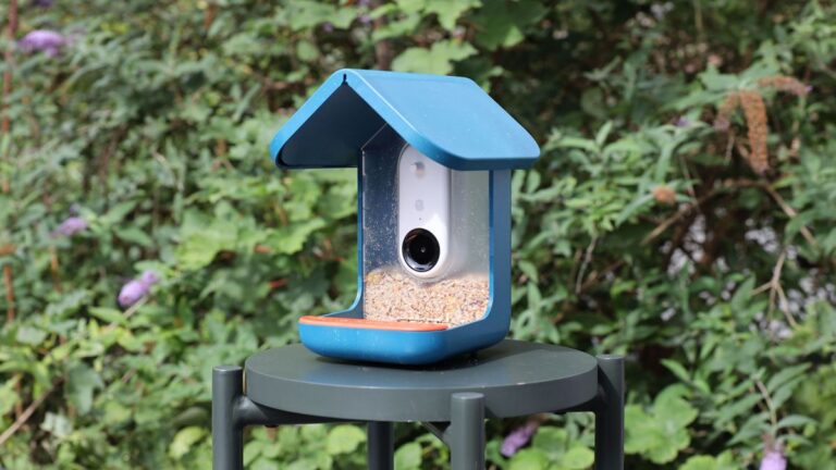 Bird Feeder Cameras